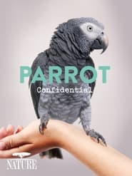 Poster Parrot Confidential