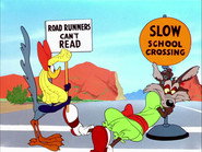 Fast and Furry-ous