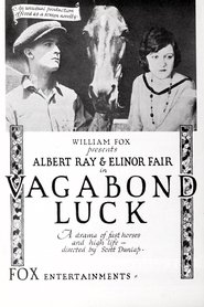 Vagabond Luck (1919)