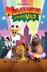 Madagaskar: Liten och vild