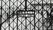 The Final Solution - Auschwitz (1)