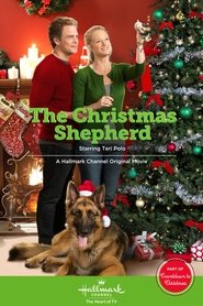 Voir Une bonne étoile pour Noël en streaming vf gratuit sur streamizseries.net site special Films streaming