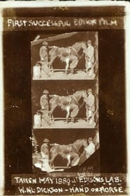 Horse Shoeing постер