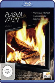 Poster Plasma Kamin HD Vol. 3 2010