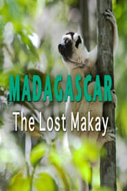 Madagascar: The Lost Makay 2011 映画 吹き替え