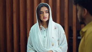 The Wrong Salma