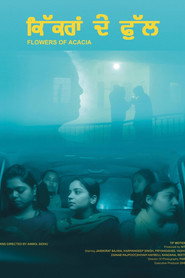 ਕਿੱਕਰਾਂ ਦੇ ਫੁੱਲ