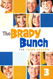 The Brady Bunch Season 3 2