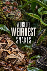 World’s Weirdest Snakes
