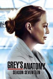 Grey’s Anatomy: Season 17