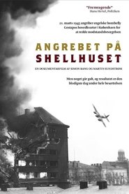 Poster The Shellhouse Raid 2013