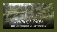 The Woodford Valley in July