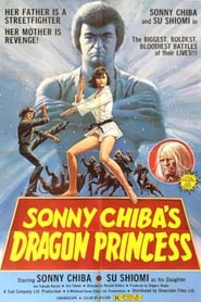 Dragon Princess постер