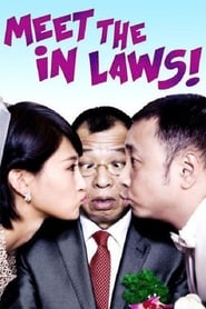 Meet the In-Laws (2012)