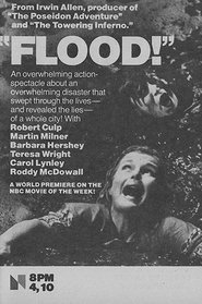 Flood! постер