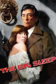 The Big Sleep постер