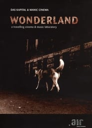 Wonderland streaming