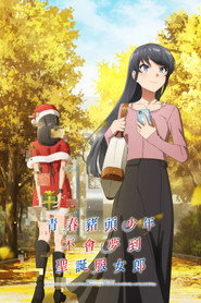 青春猪头少年不会梦到圣诞服女郎