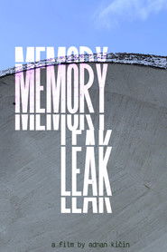 Memory Leak (2025)