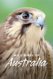 Poster Wild Birds of Australia - Season 1 2016