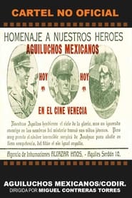 Poster Aguiluchos mexicanos