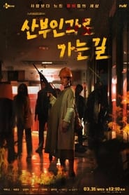 산부인과로 가는길 poster