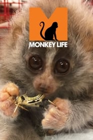 Monkey Life постер