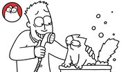 Missing Cat, Part 1: Bathtime