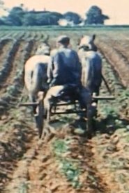 Prince Edward Island (1943)