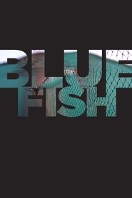 Bluefish постер