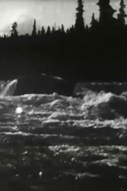 Poster White Horse Rapids 1900