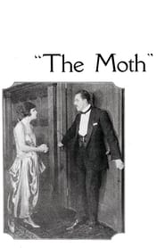 Poster The Moth