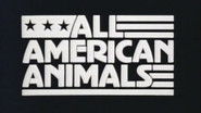 All American Animals