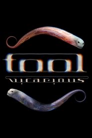 Tool - Vicarious) Tool - Vicarious (2007)