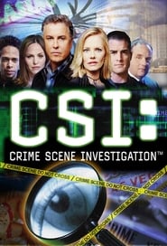 CSI: Місце злочину постер