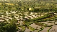 Living Landscapes: Bali en streaming