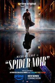 Spider-Noir
