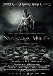 Image Naturaleza Muerta