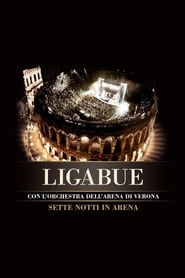 Poster Ligabue: Sette notti in Arena