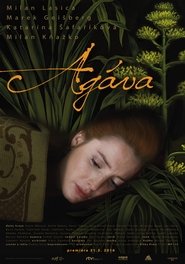 Poster Agáva 2016