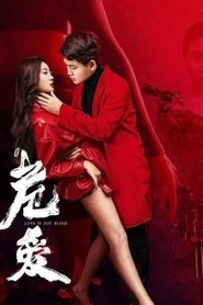 Love Is Not Blind (2020) Love Is Not Blind (2020)