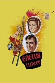 Cactus Flower (1969) online ελληνικοί υπότιτλοι