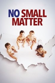 Poster van No Small Matter