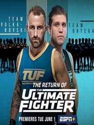 Watch The Ultimate Fighter Season 29 Full Series Replay