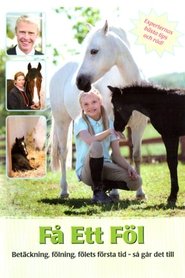 Få ett föl (2011)