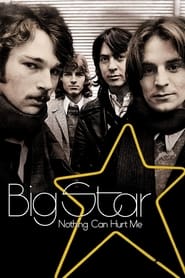 Poster Big Star: Nothing Can Hurt Me 2013
