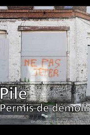 Poster for Pile, permis de démolir