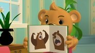 Morgan the Bear