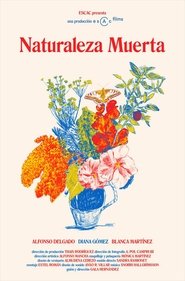 Poster Naturaleza Muerta