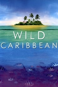 Poster BBC Wilde Karibik